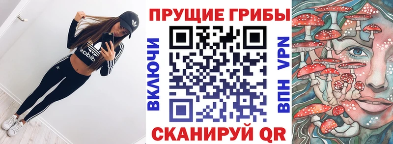 цены   Инсар  Галлюциногенные грибы Psilocybe 